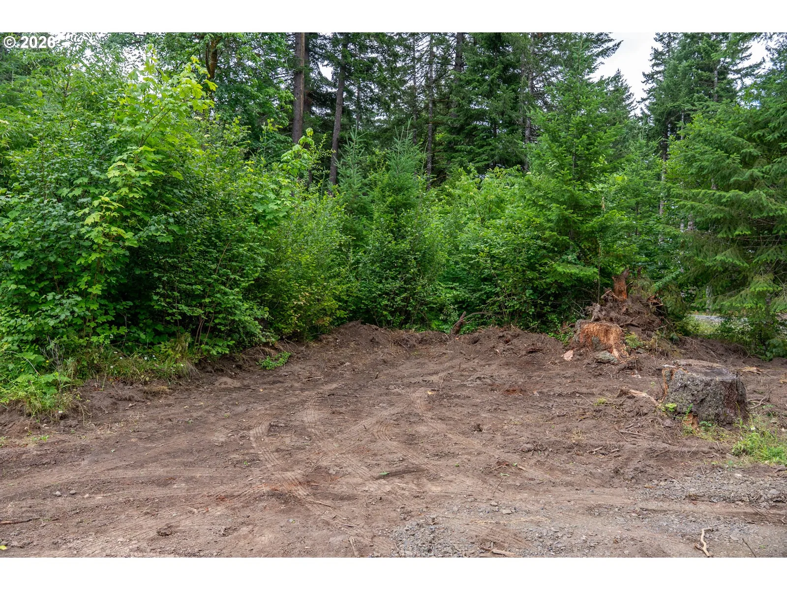 10392 Wind River Hwy, Carson, Wa 98610 — photograph 11