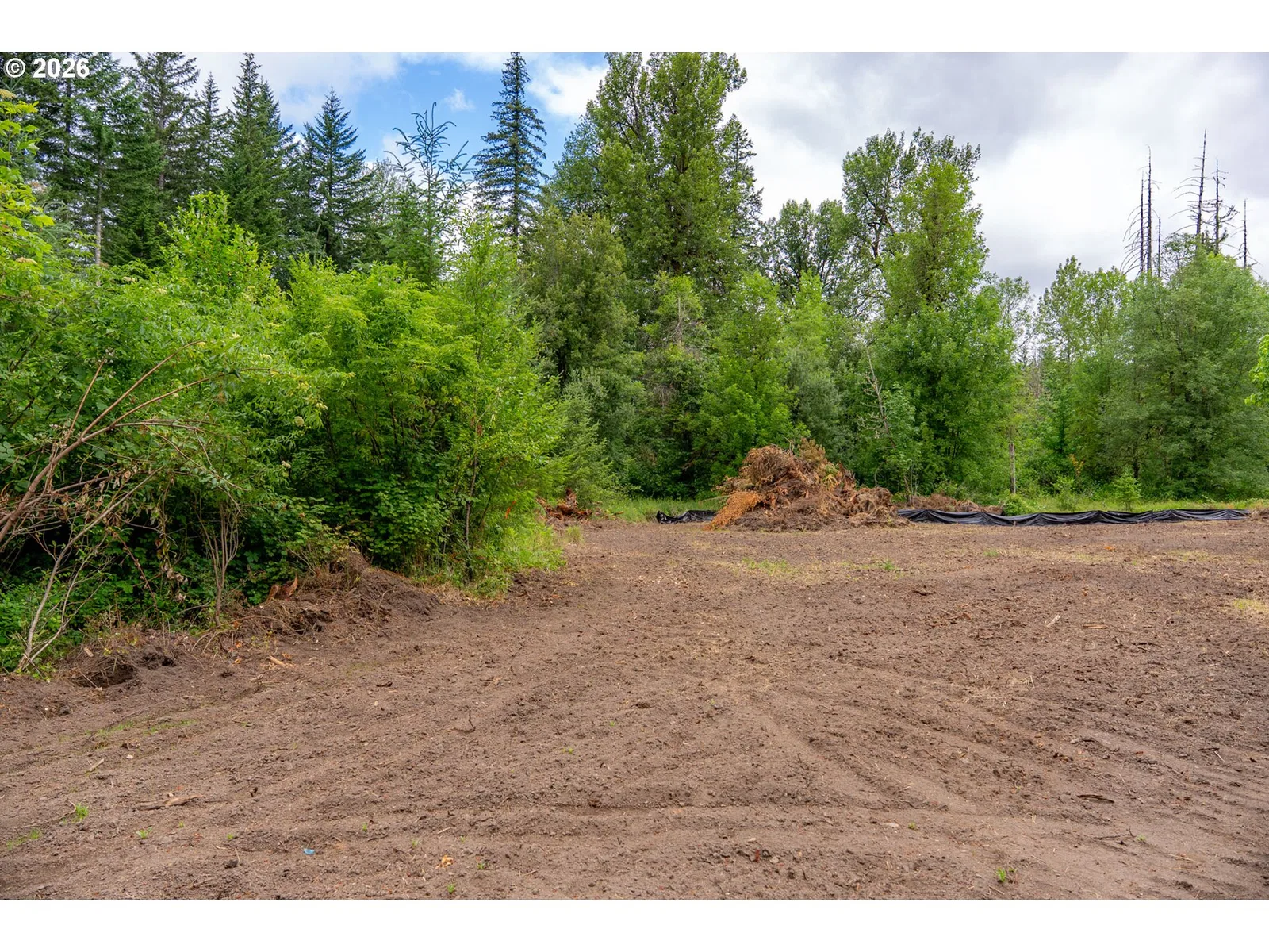 10392 Wind River Hwy, Carson, Wa 98610 — photograph 16