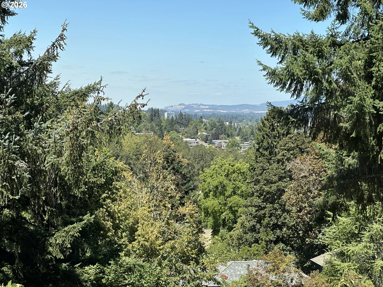 515 Fulvue Dr, Eugene, OR 97405 — photograph 22