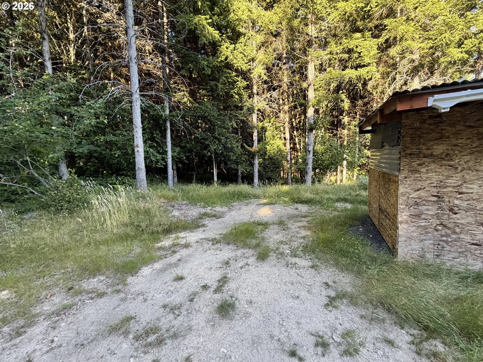 217 Ham Rd, Amboy, Wa 98601 — photograph 9