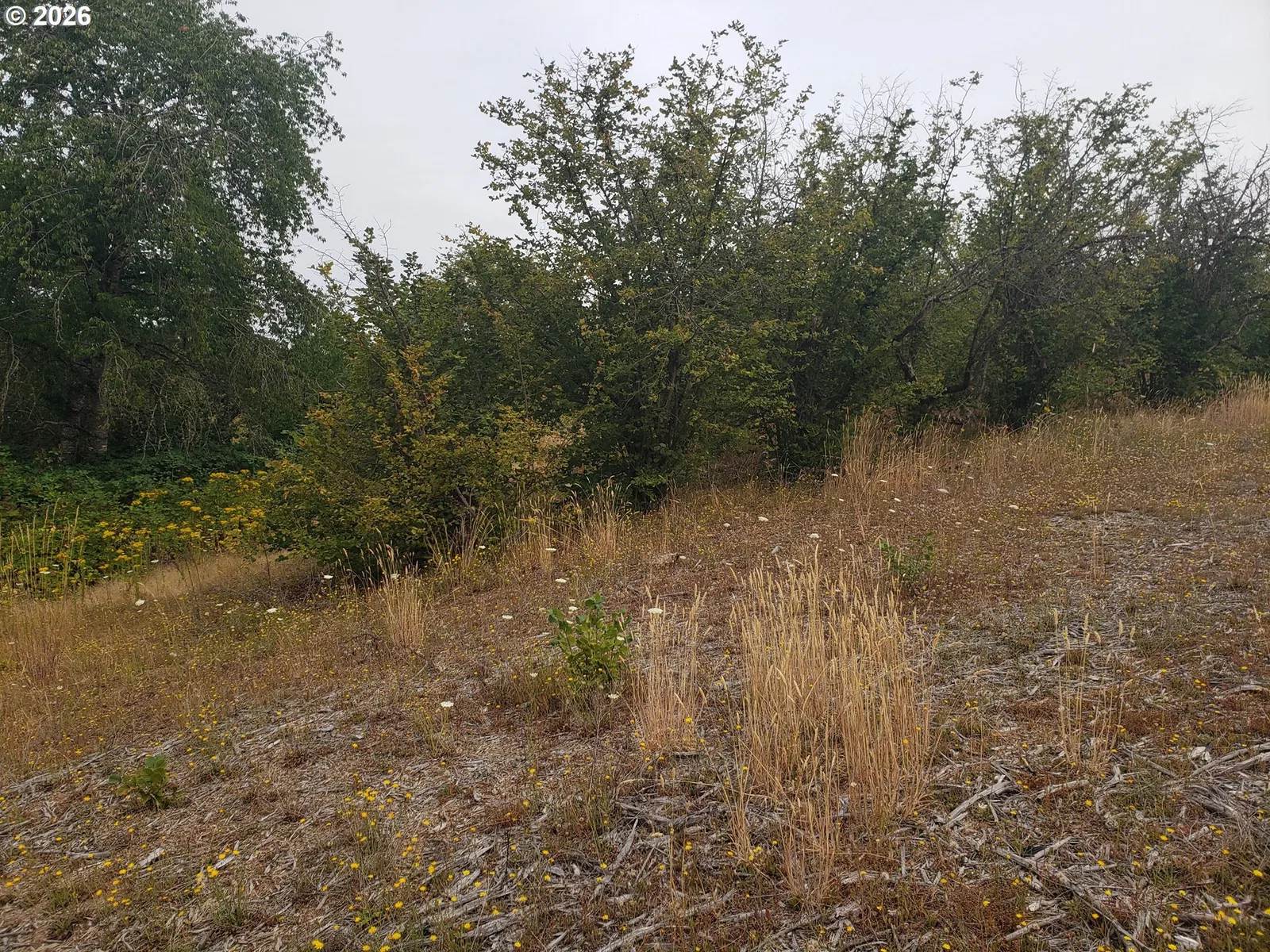 SW Hardebeck Rd, Gaston, OR 97119 — photograph 22