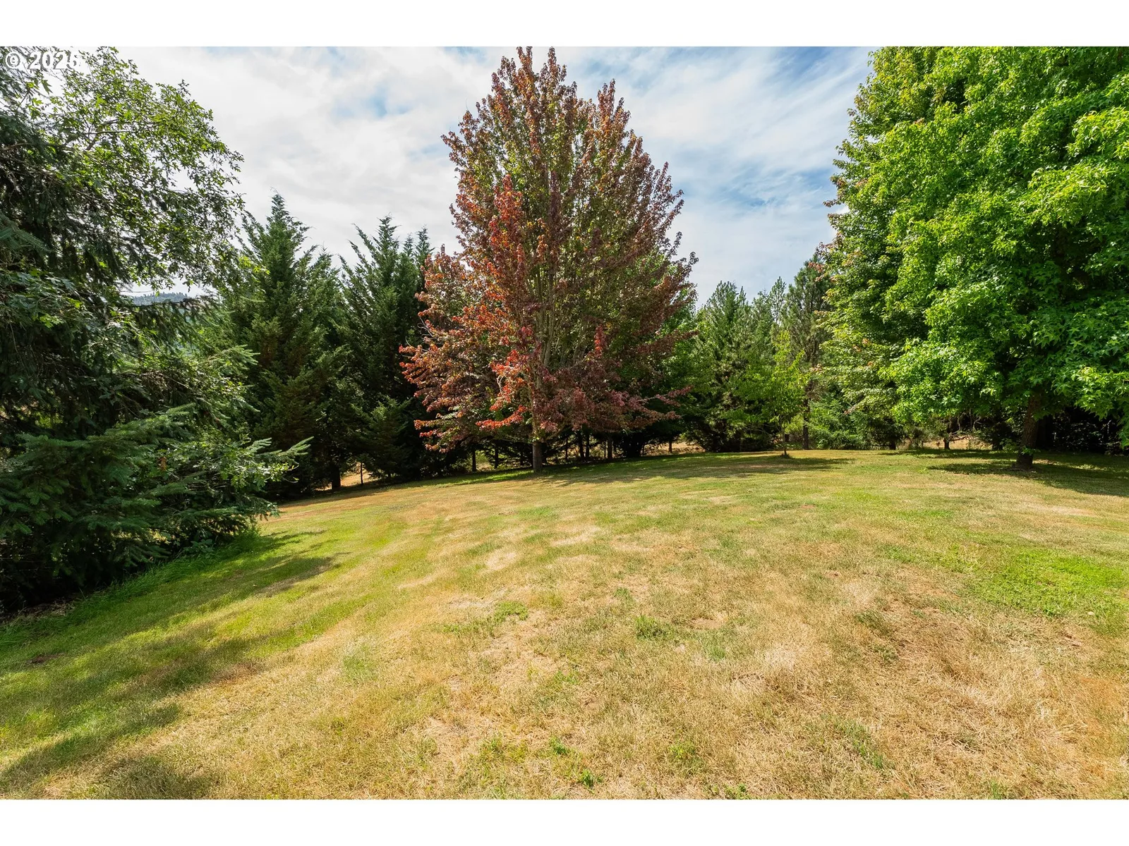 558 Wulff Ln, Roseburg, OR 97471 — photograph 41