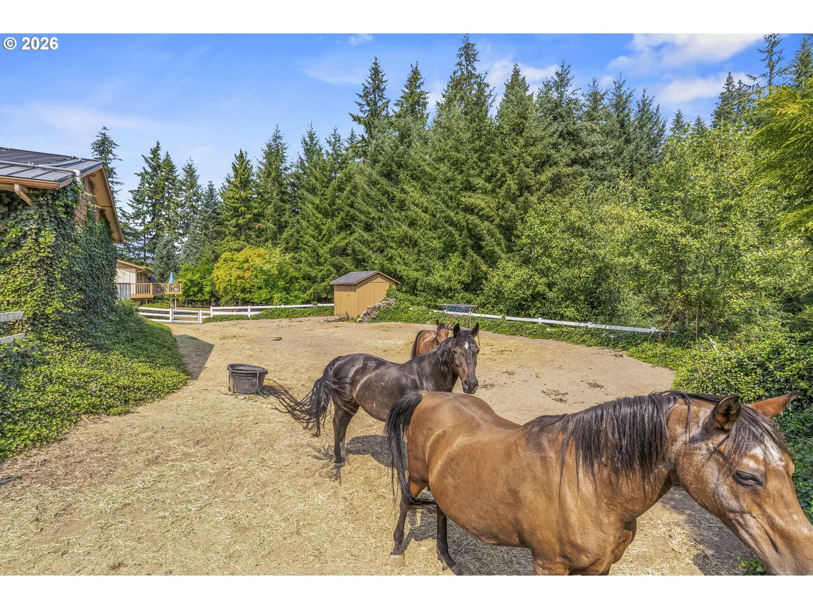891 Young Rd, Kelso, Wa 98626 — photograph 27
