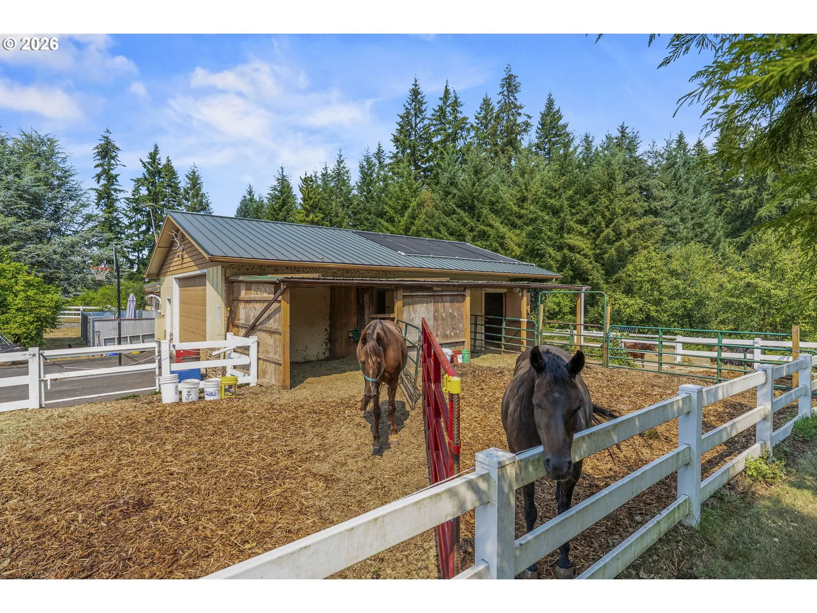 891 Young Rd, Kelso, Wa 98626 — photograph 28