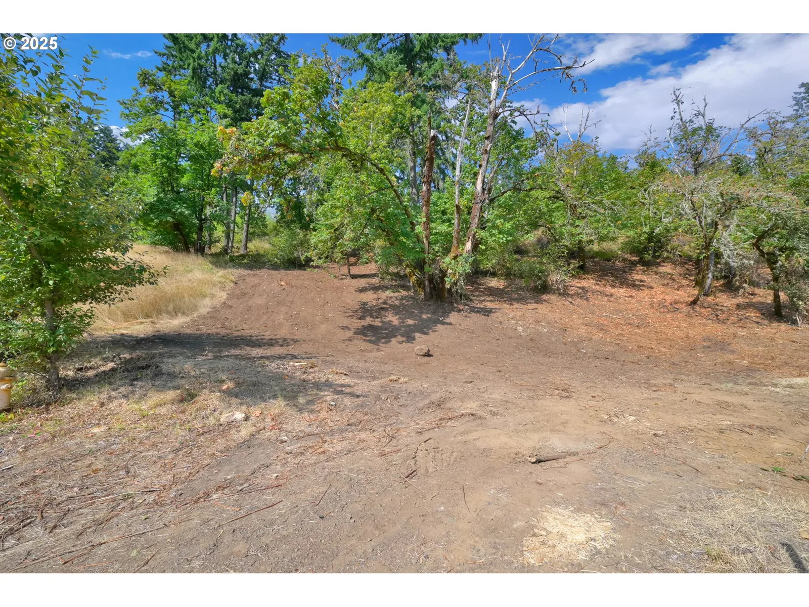 Forest Ridge Dr, Springfield, OR 97478 — photograph 10