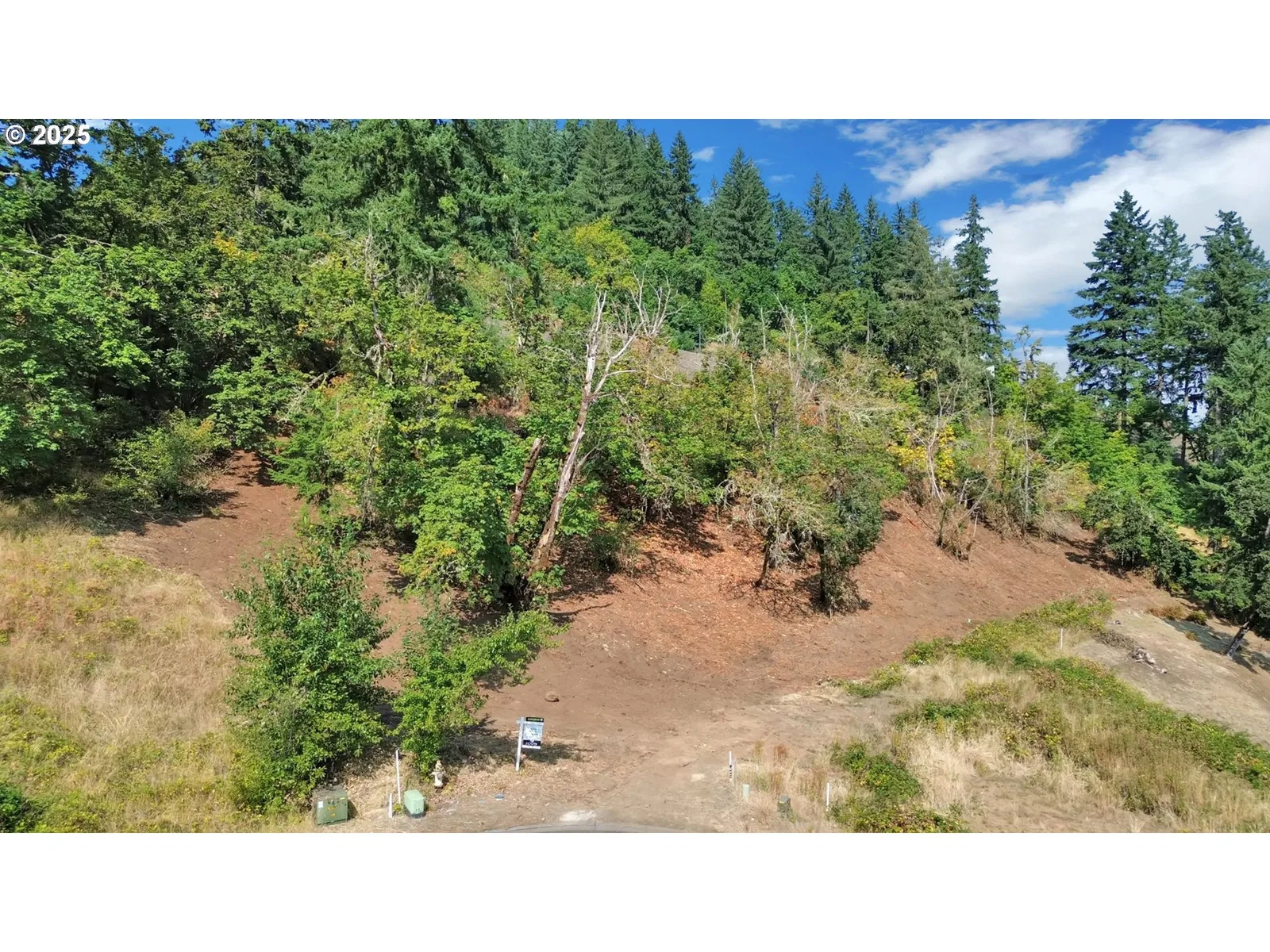 Forest Ridge Dr, Springfield, OR 97478 — photograph 11