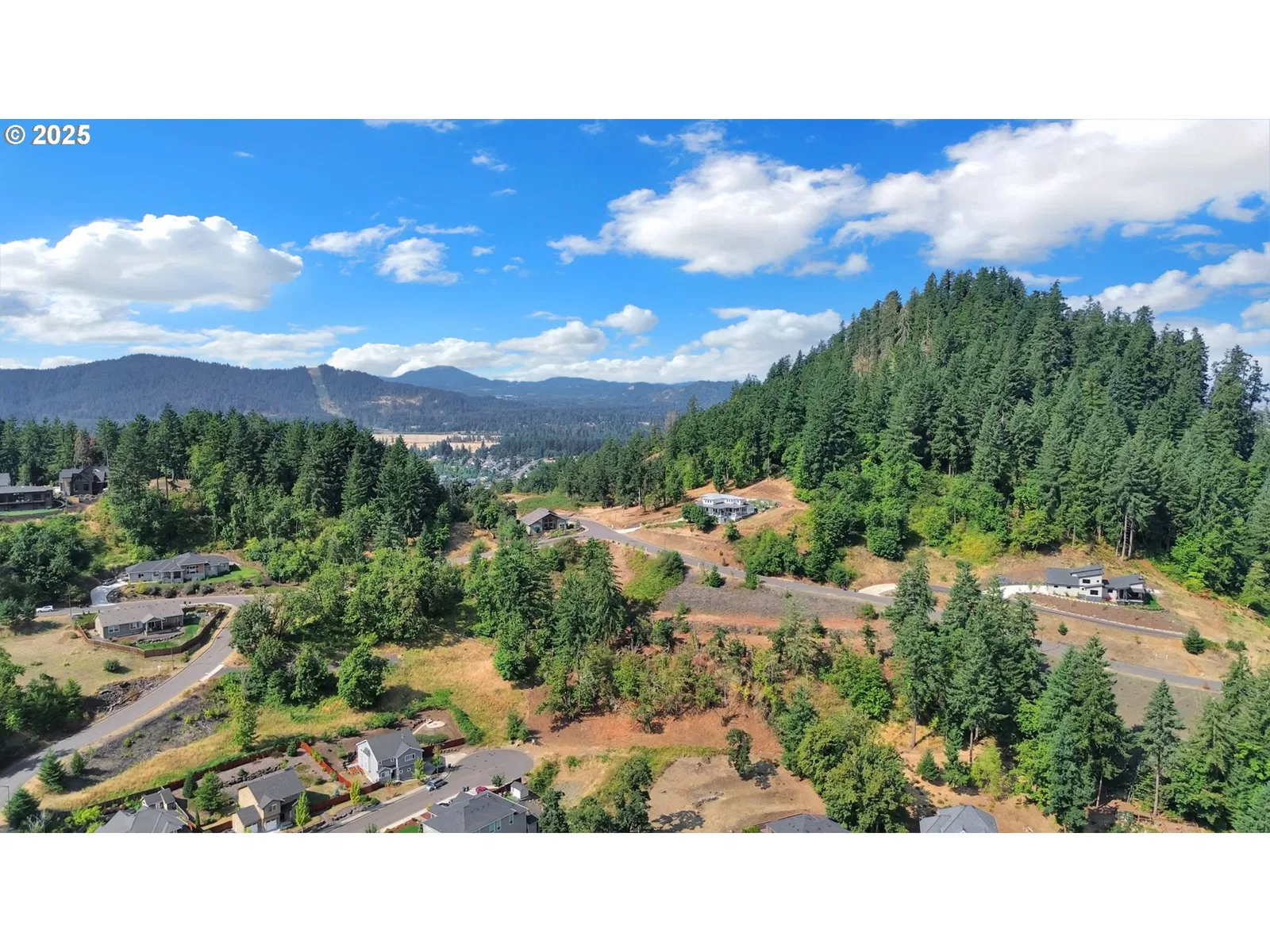 Forest Ridge Dr, Springfield, OR 97478 — photograph 18