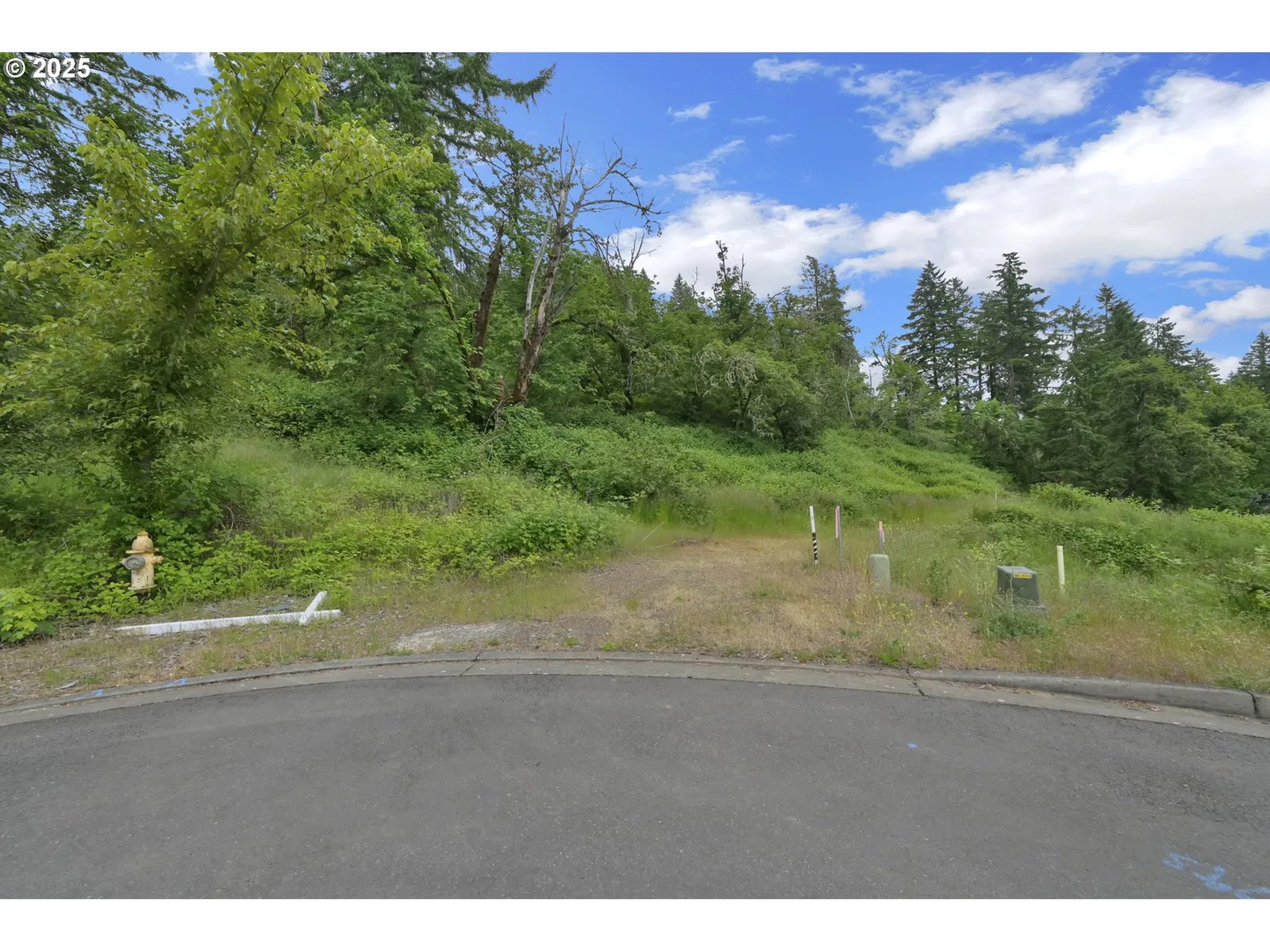 Forest Ridge Dr, Springfield, OR 97478 — photograph 6