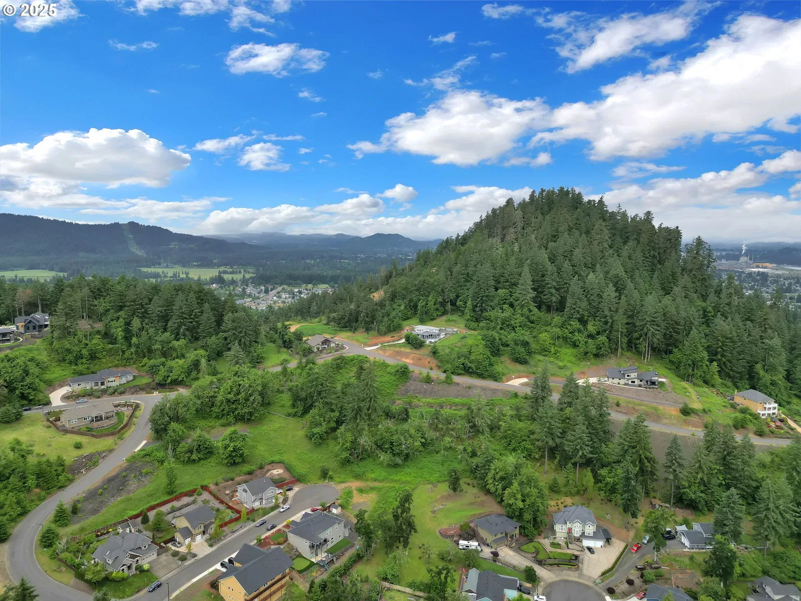 Forest Ridge Dr, Springfield, OR 97478 — photograph 25