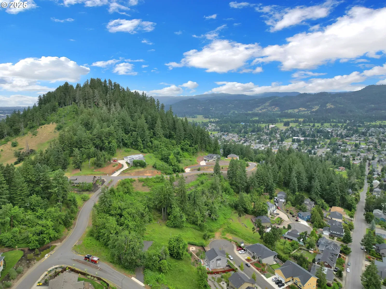 Forest Ridge Dr, Springfield, OR 97478 — photograph 27