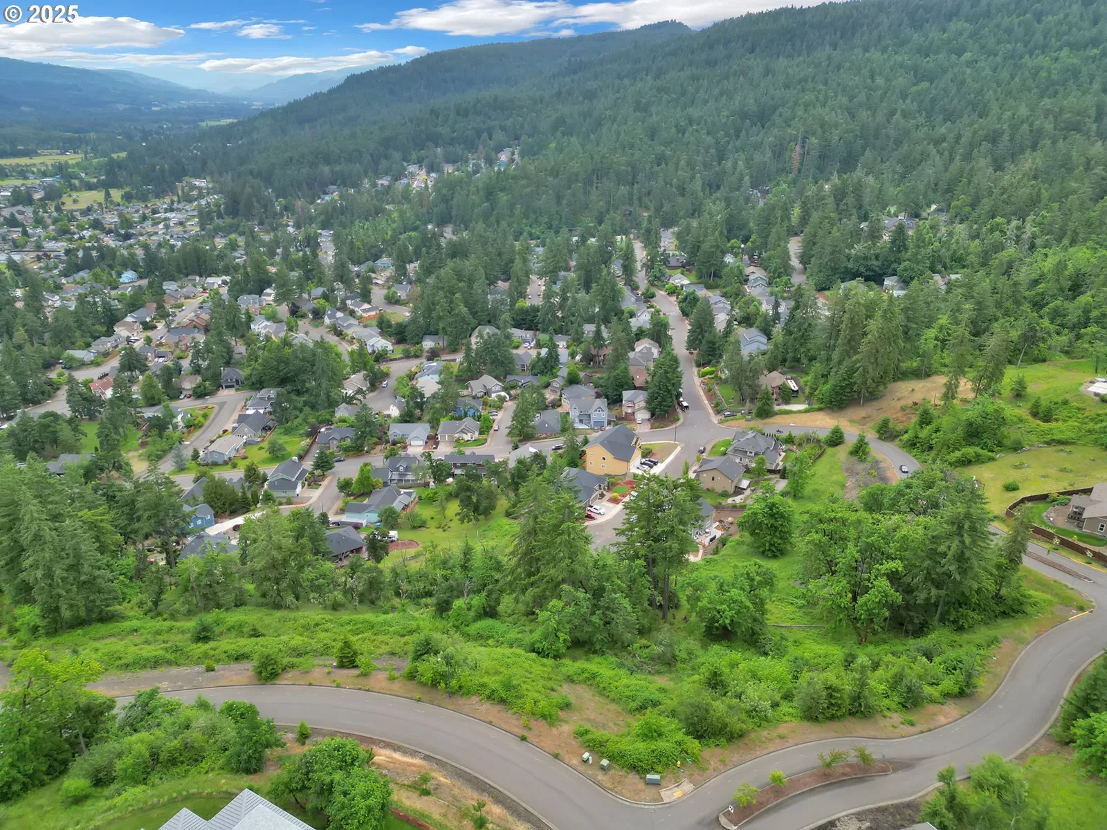 Forest Ridge Dr, Springfield, OR 97478 — photograph 30