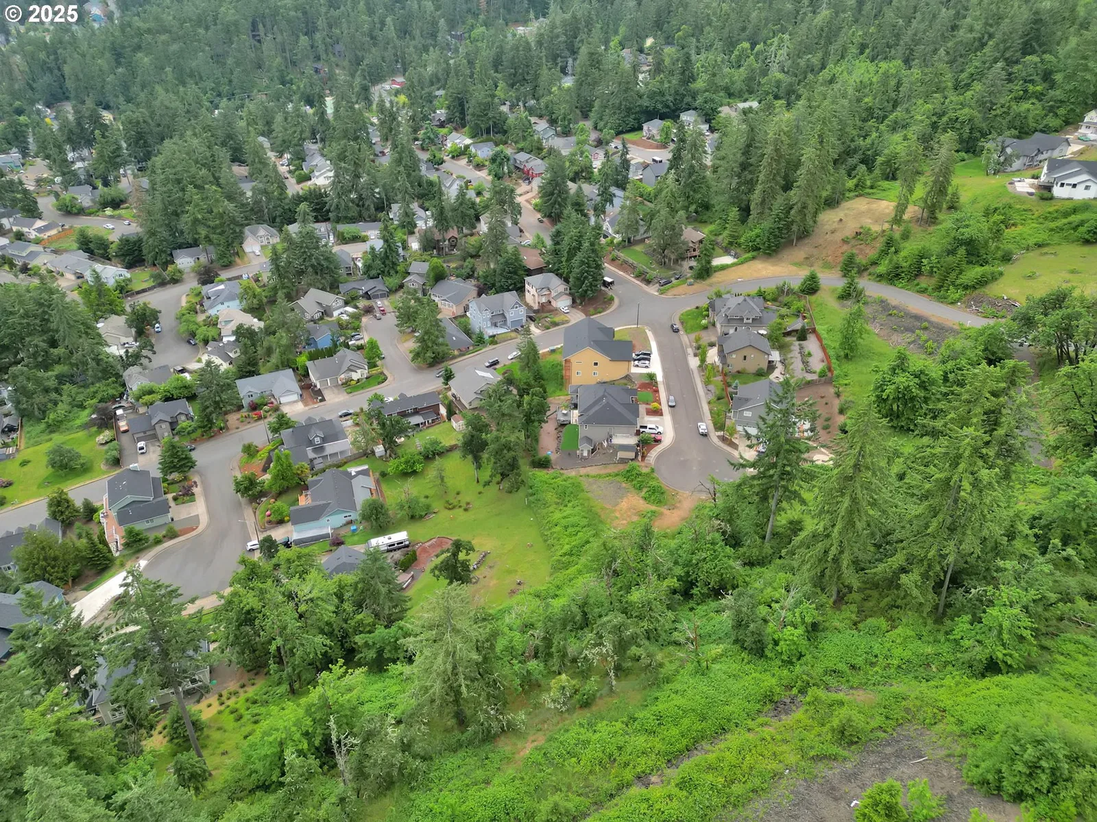 Forest Ridge Dr, Springfield, OR 97478 — photograph 31