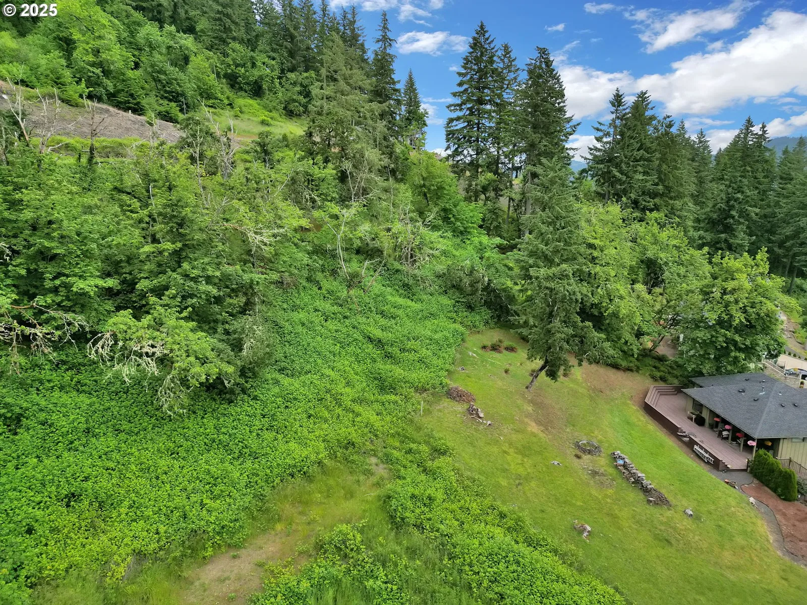 Forest Ridge Dr, Springfield, OR 97478 — photograph 36