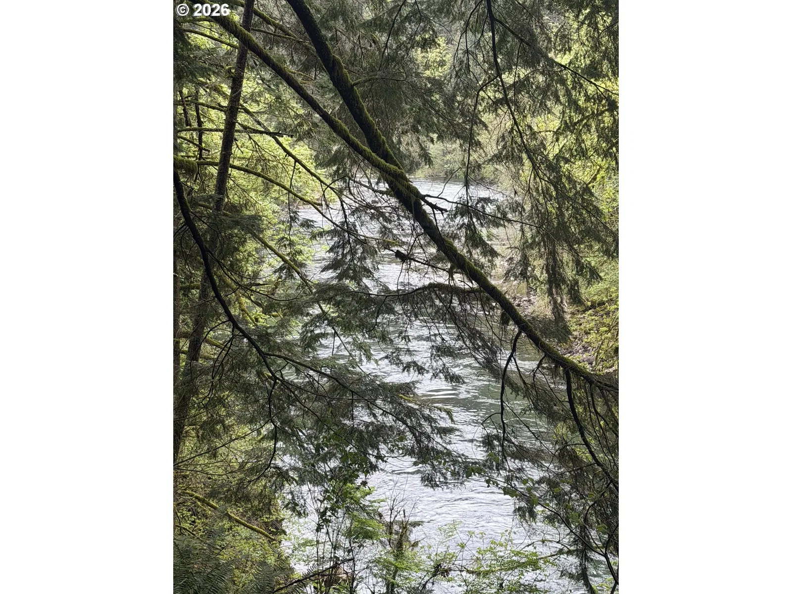 313 NE 353rd Ave, Washougal, Wa 98671 — photograph 16