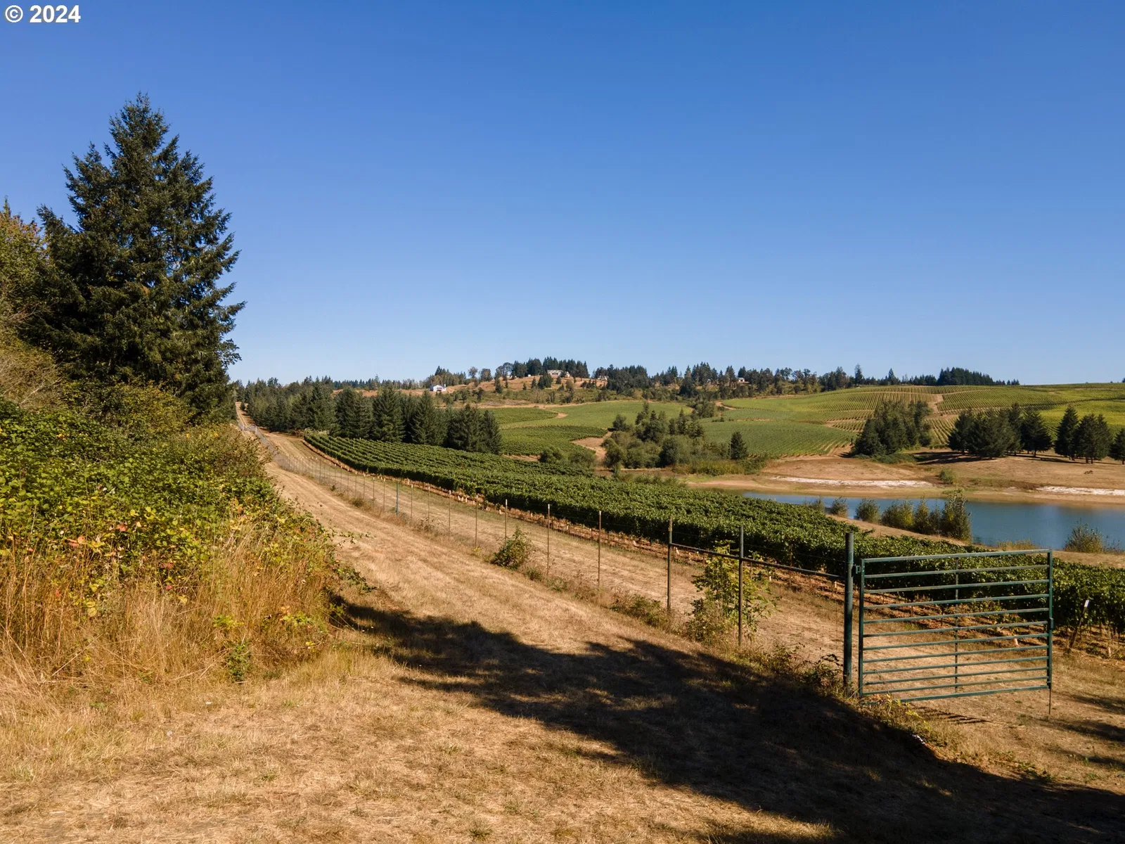 Westview Ln, Monmouth, OR 97361 — photograph 10
