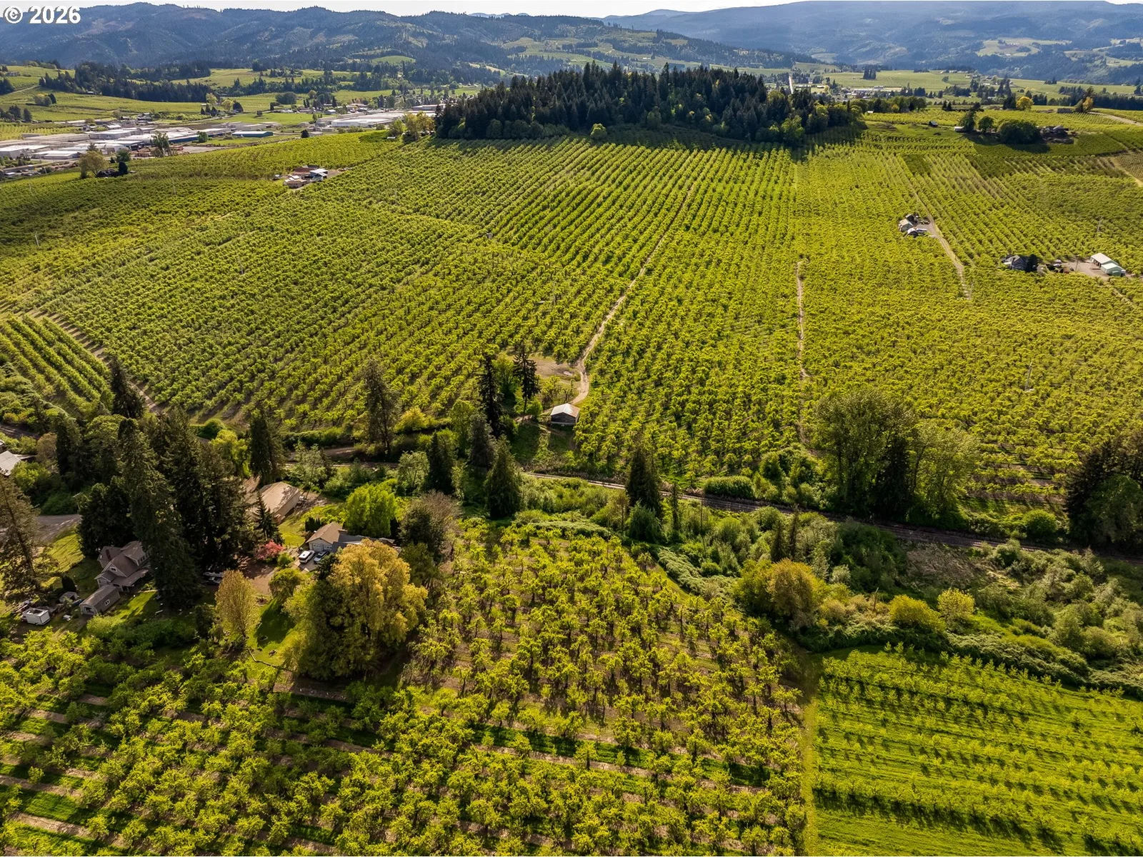 Neal Creek Mill Rd, Hood River, OR 97031 — photograph 13