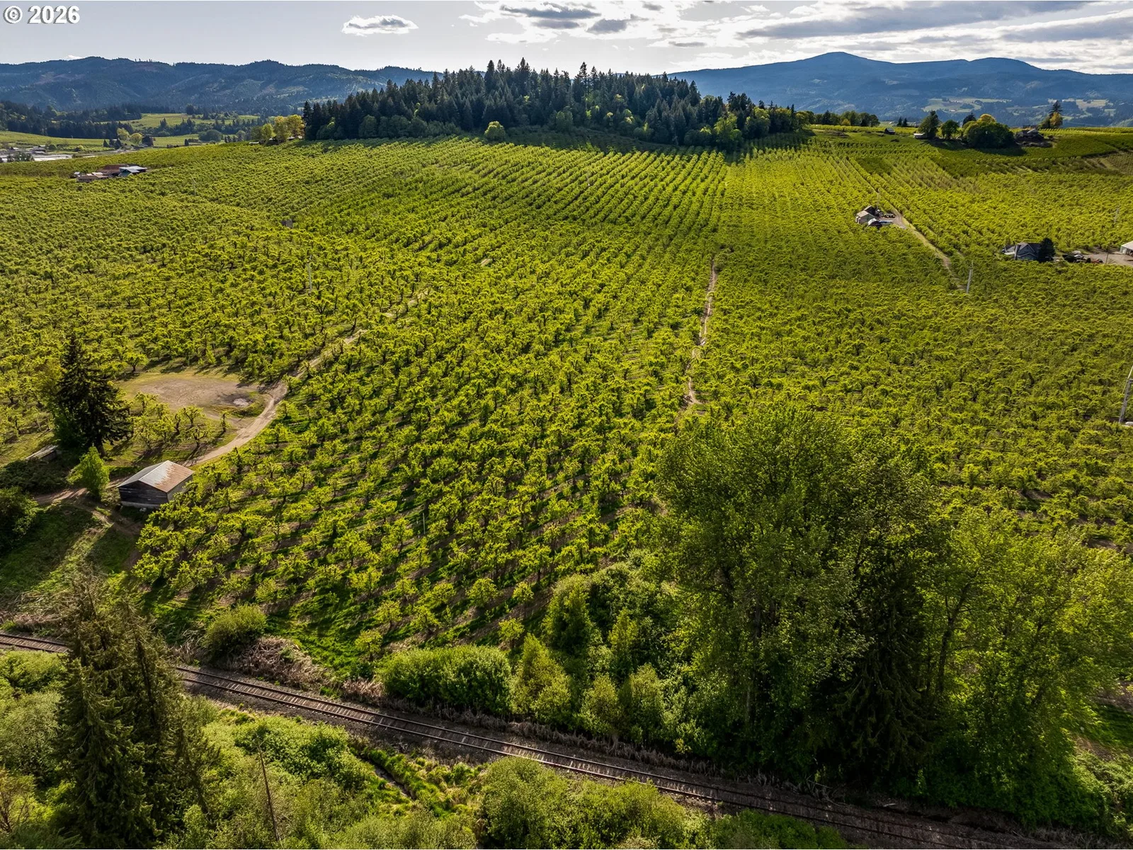 Neal Creek Mill Rd, Hood River, OR 97031 — photograph 15