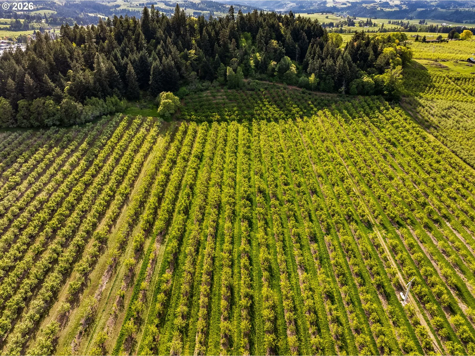 Neal Creek Mill Rd, Hood River, OR 97031 — photograph 29
