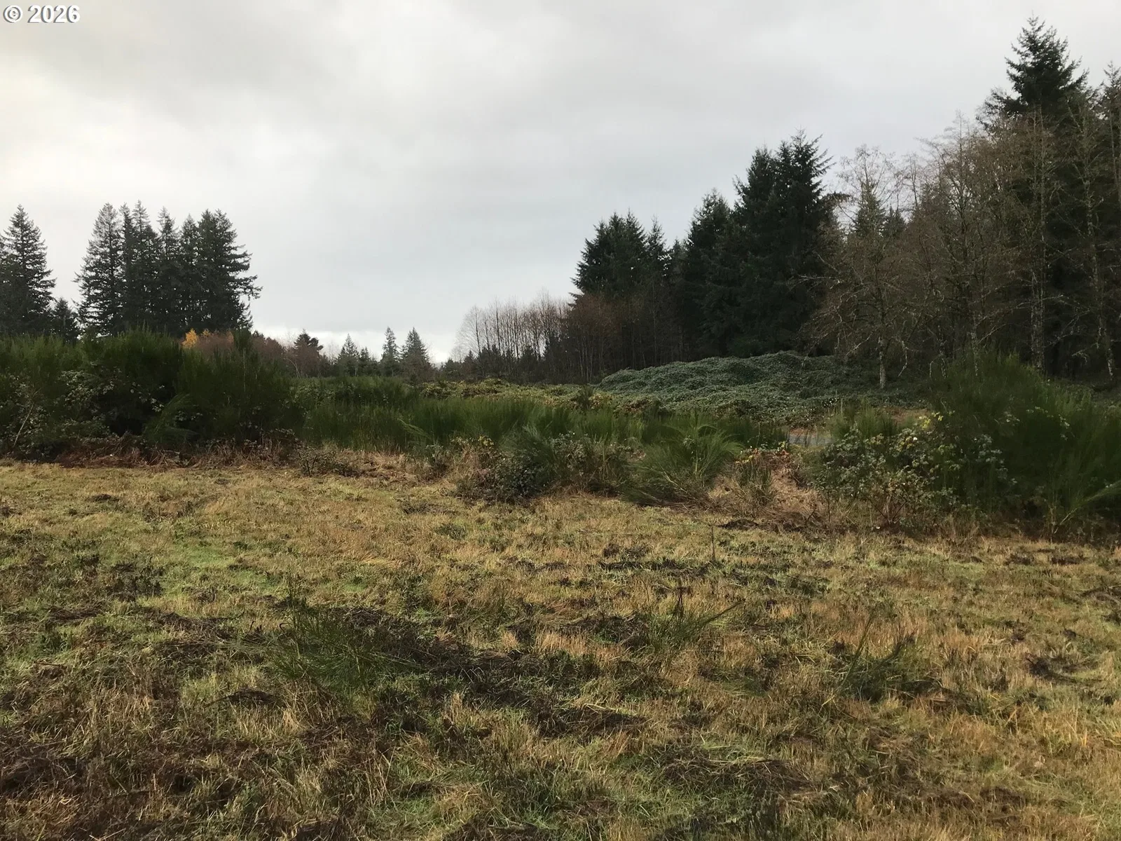 20226 SE Veneer, Sandy, OR 97055 — photograph 6