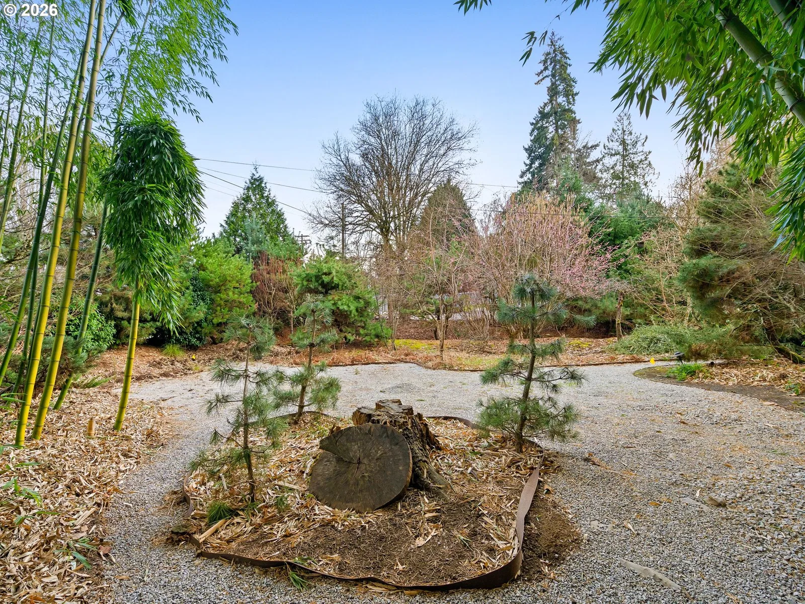 13635 SW Hall Blvd, Portland, OR 97223 — photograph 28
