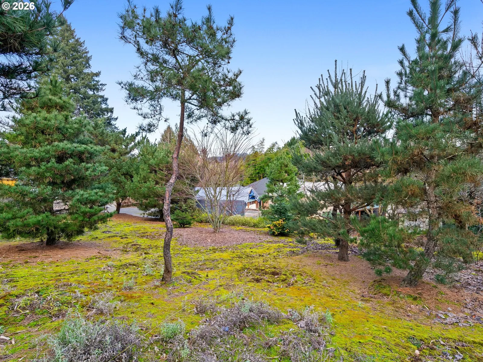 13635 SW Hall Blvd, Portland, OR 97223 — photograph 40