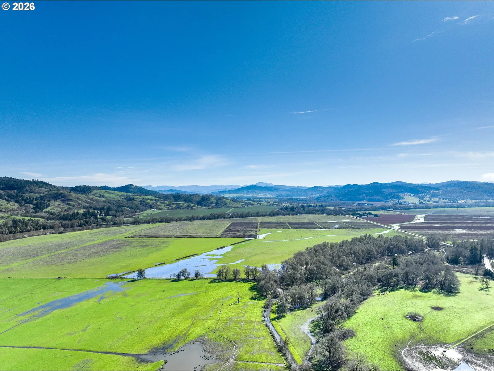 687 Hubbard Creek, Umpqua, OR 97486 — photograph 10
