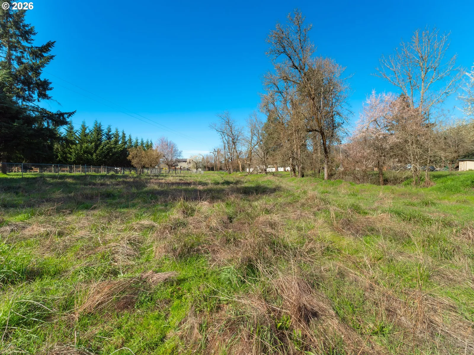 238 Ball Ln, Riddle, OR 97469 — photograph 29