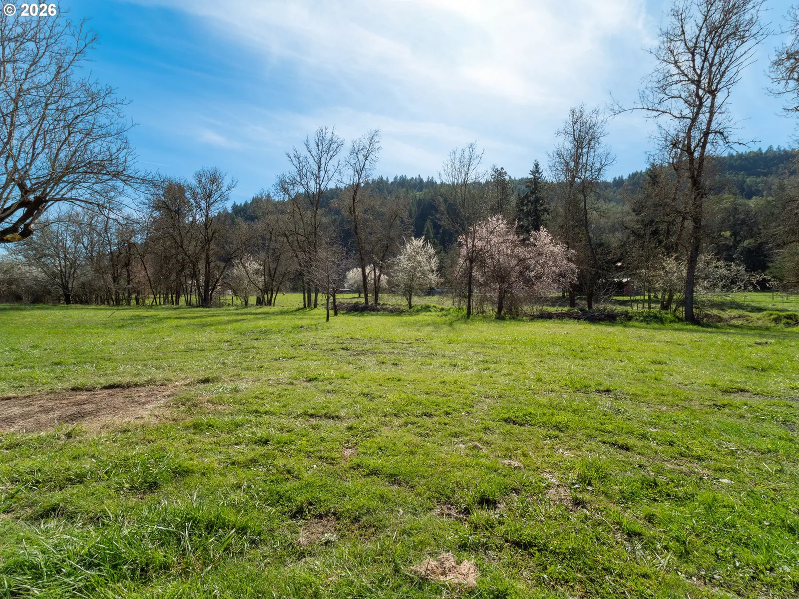 238 Ball Ln, Riddle, OR 97469 — photograph 30