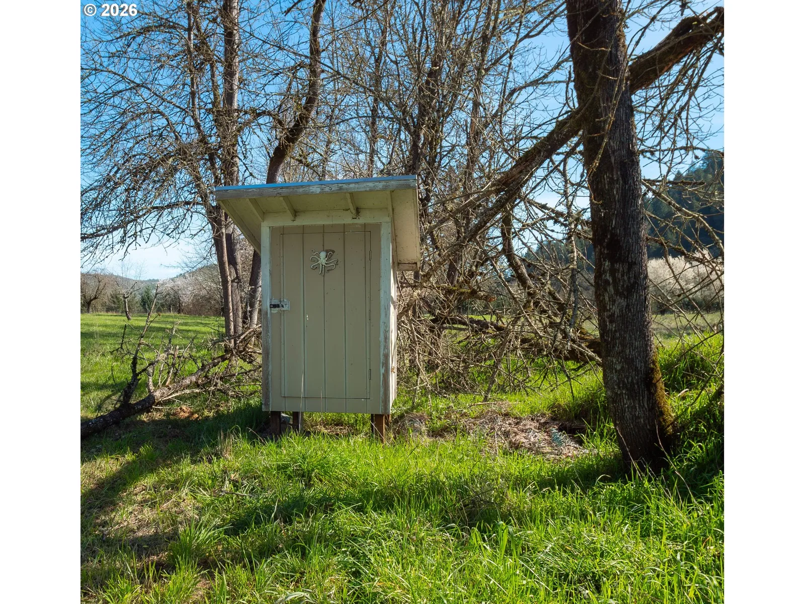 238 Ball Ln, Riddle, OR 97469 — photograph 33