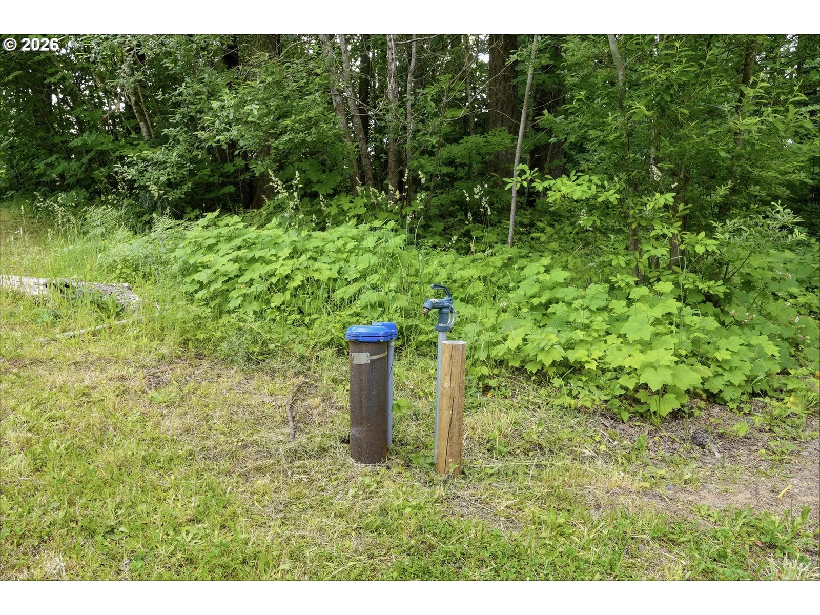 21090 NW Dairy Creek Rd, North Plains, OR 97133 — photograph 21