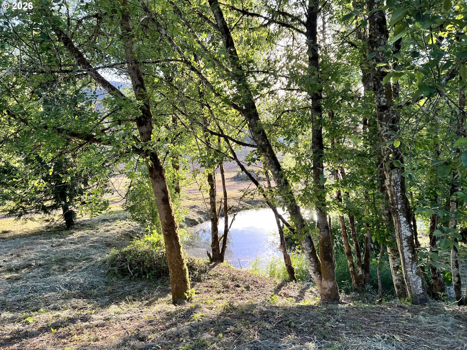 21090 NW Dairy Creek Rd, North Plains, OR 97133 — photograph 26