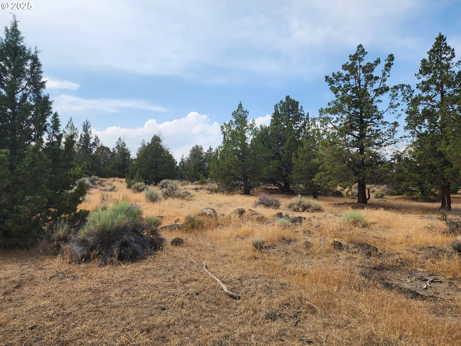 65432 78th St, Bend, OR 97703 — photograph 9