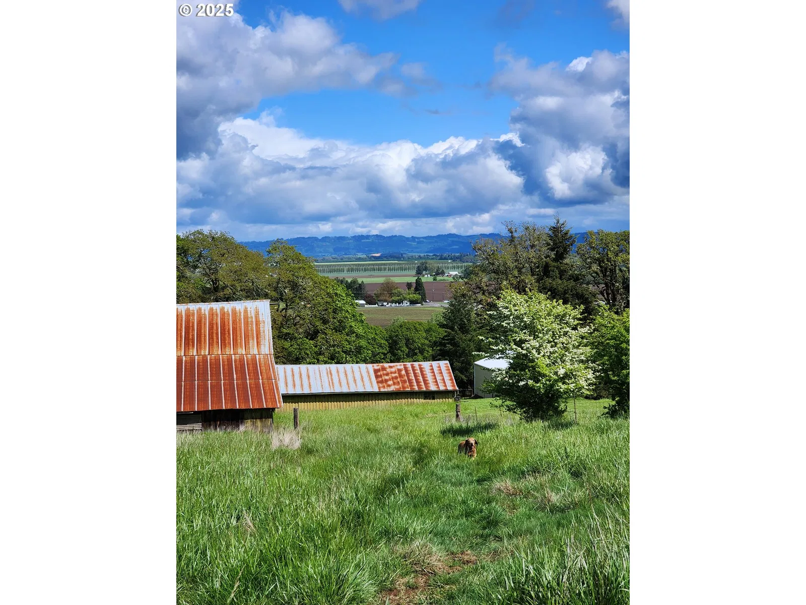 24088 SW Highway 18, Sheridan, OR 97378 — photograph 43