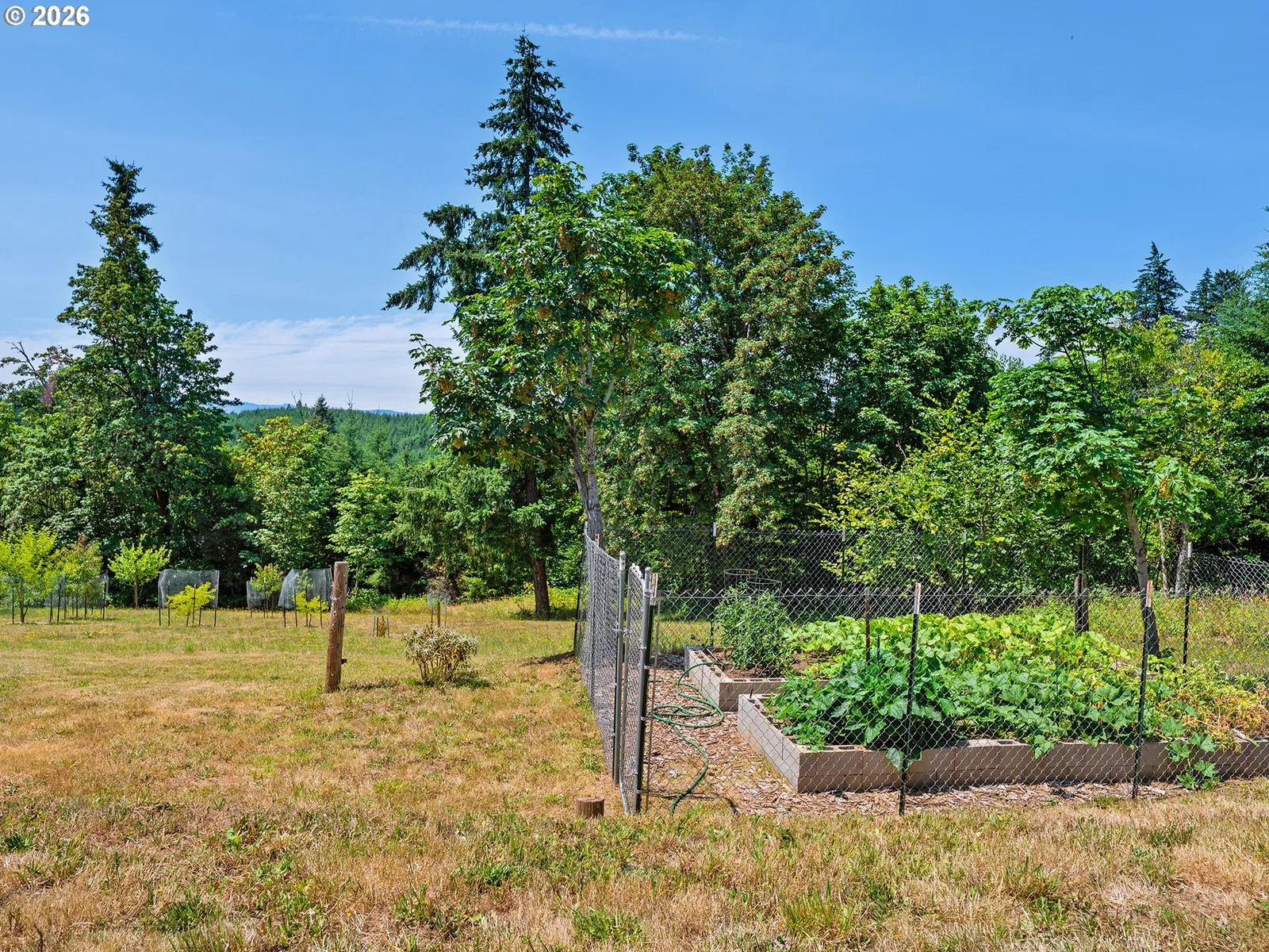 19267 NW Pumpkin Ridge Rd, North Plains, OR 97133 — photograph 35