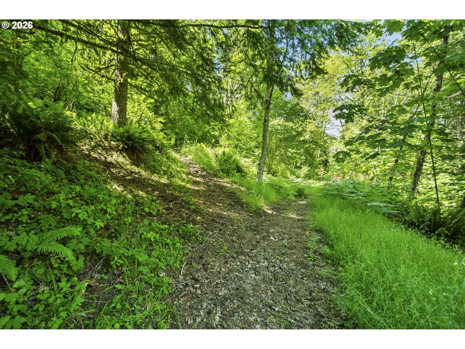 400 N Dubois Rd, Ariel, Wa 98603 — photograph 32