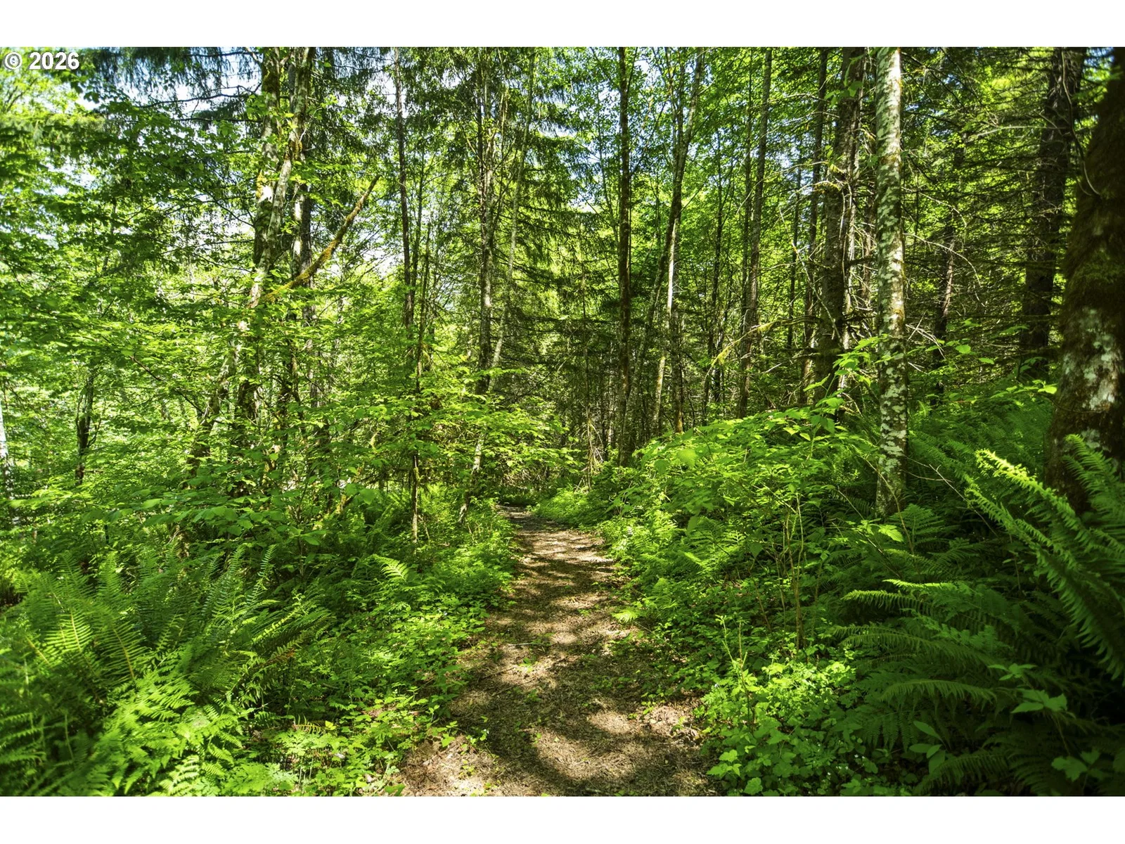 400 N Dubois Rd, Ariel, Wa 98603 — photograph 34