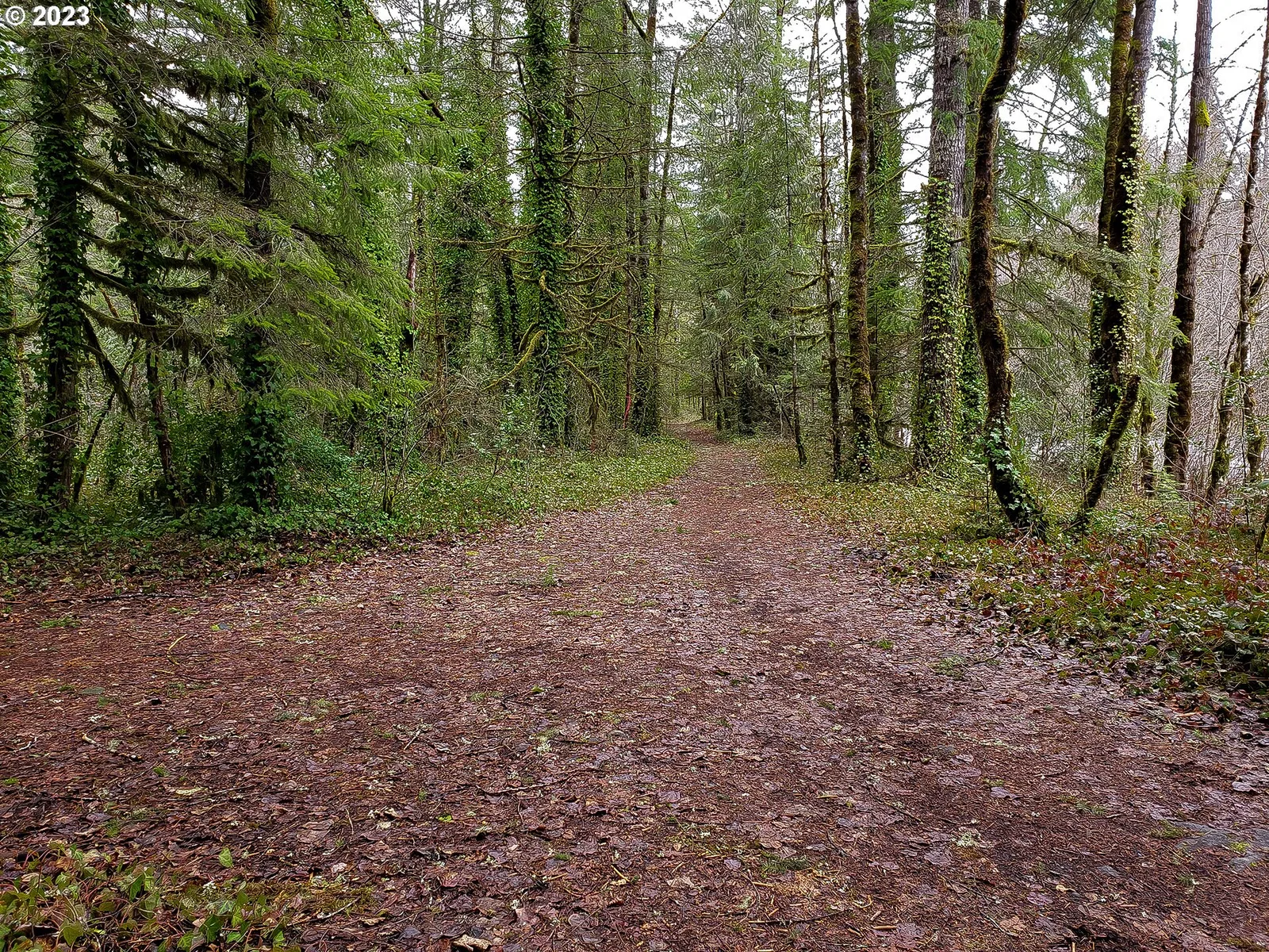E Barlow Trail Rd, Brightwood, OR 97011 — photograph 6