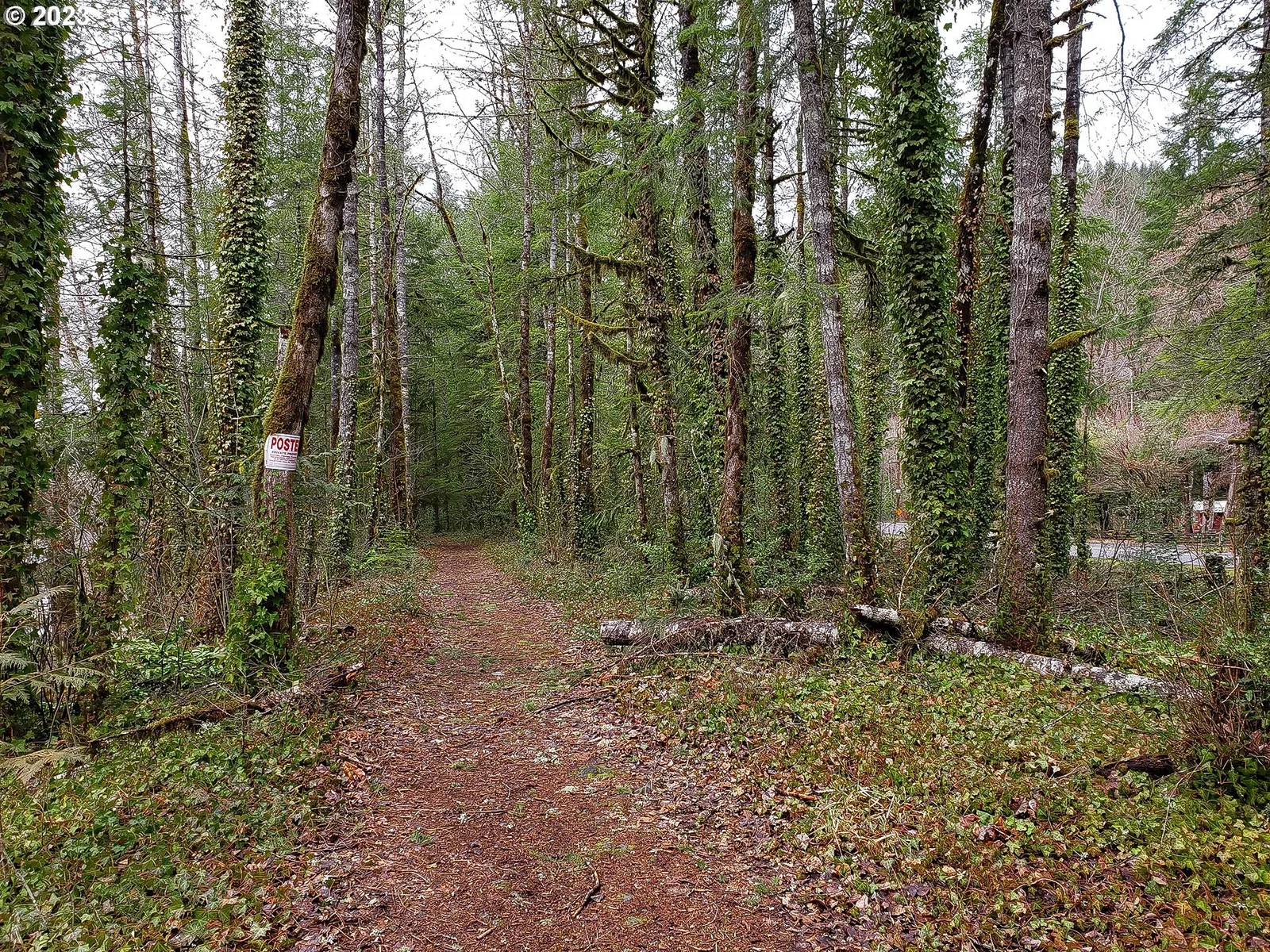 E Barlow Trail Rd, Brightwood, OR 97011 — photograph 7