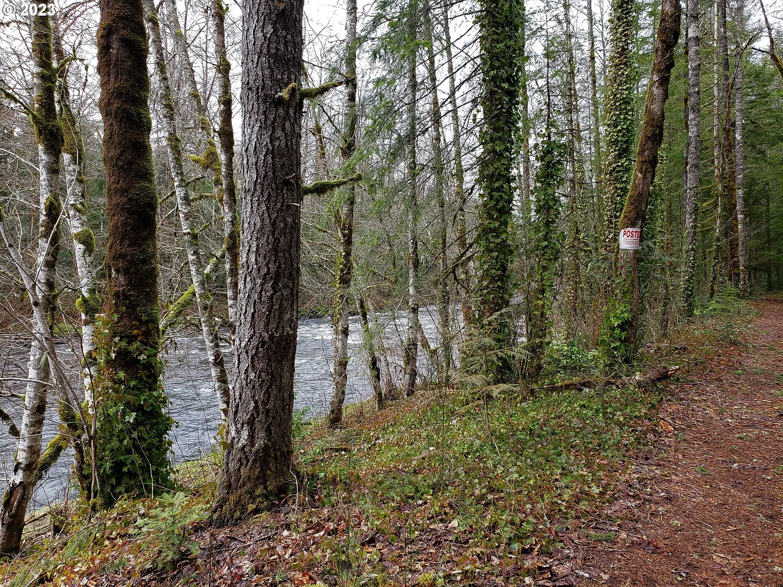 E Barlow Trail Rd, Brightwood, OR 97011 — photograph 9