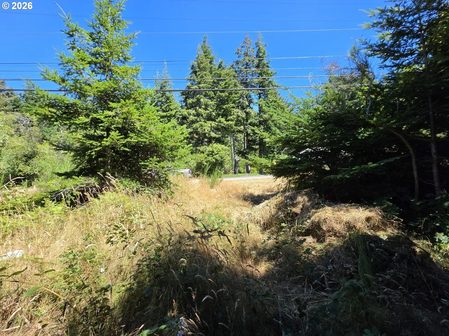 Jackson St, Port Orford, OR 97465 — photograph 10