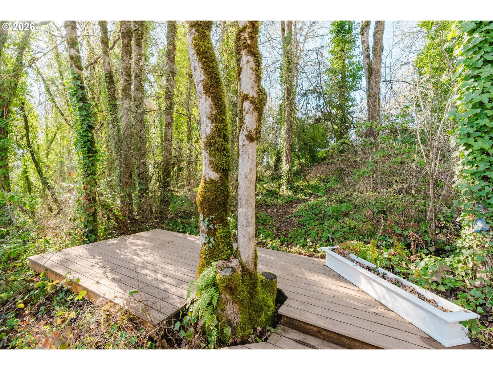 916 NW Chipmunk Pl, Corvallis, OR 97330 — photograph 42