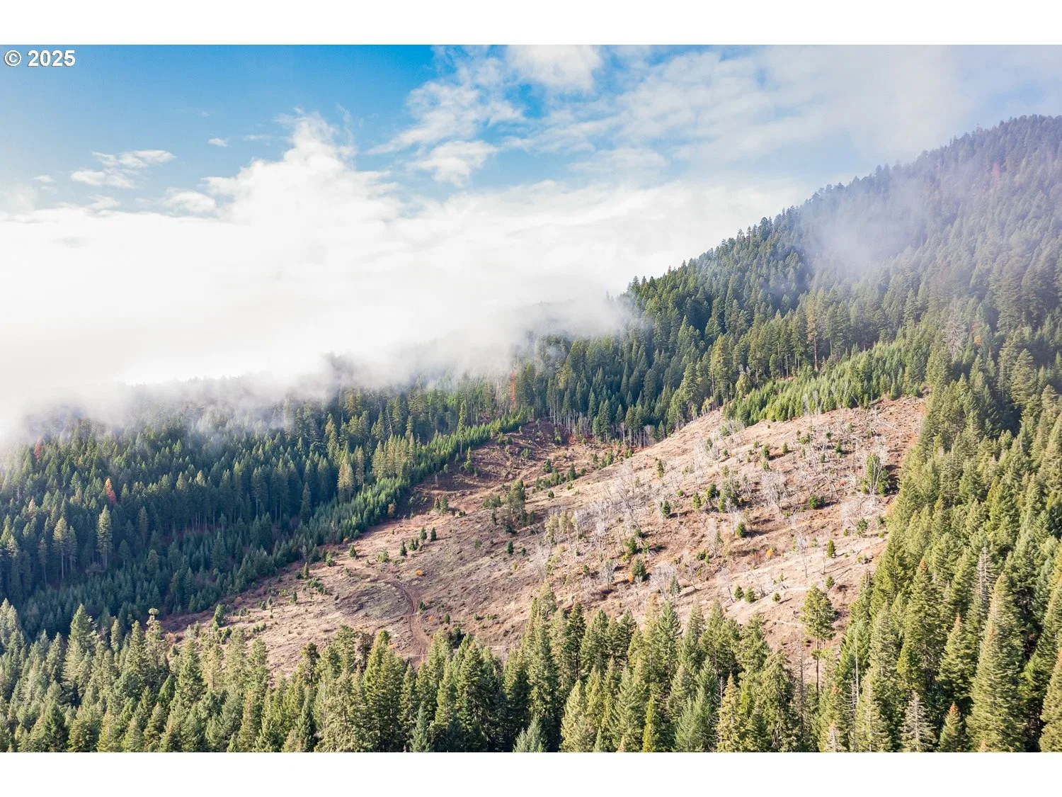 River Rd, Prospect, OR 97536 — photograph 20