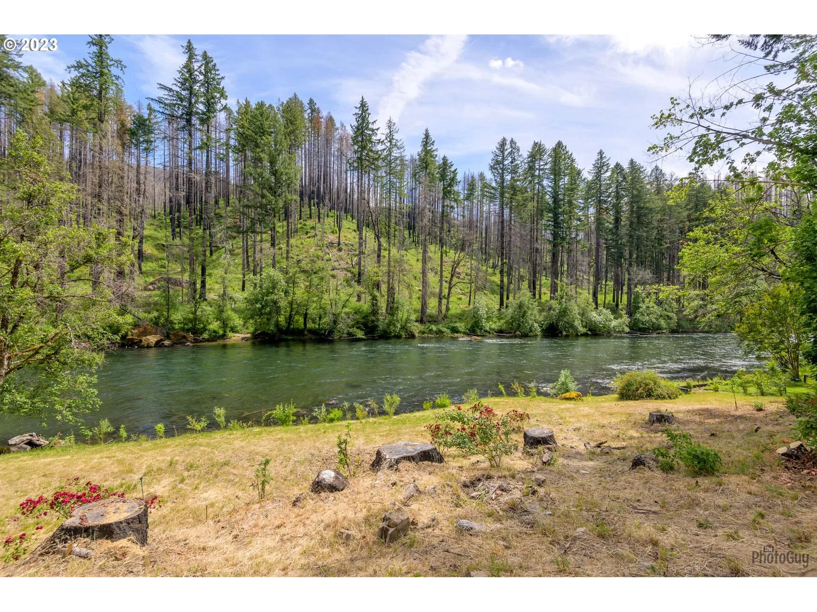 47664 McKenzie Hwy, Vida, OR 97488 — photograph 11