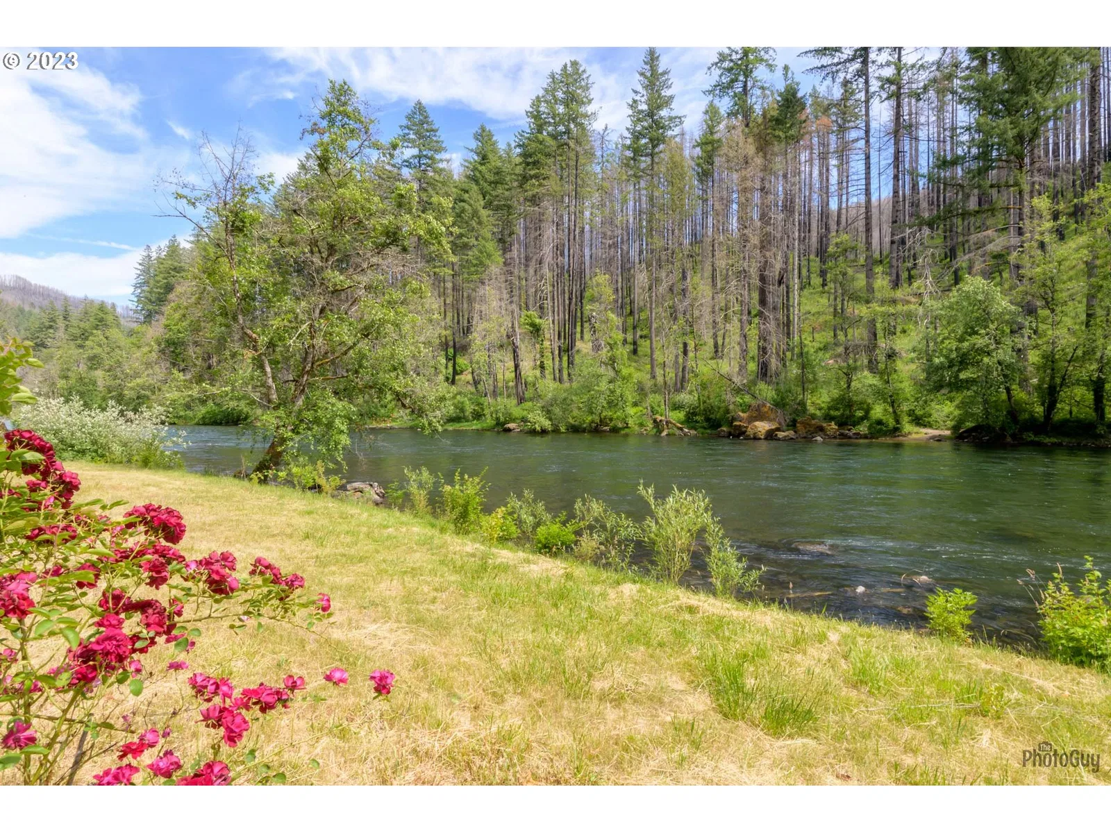 47664 McKenzie Hwy, Vida, OR 97488 — photograph 17