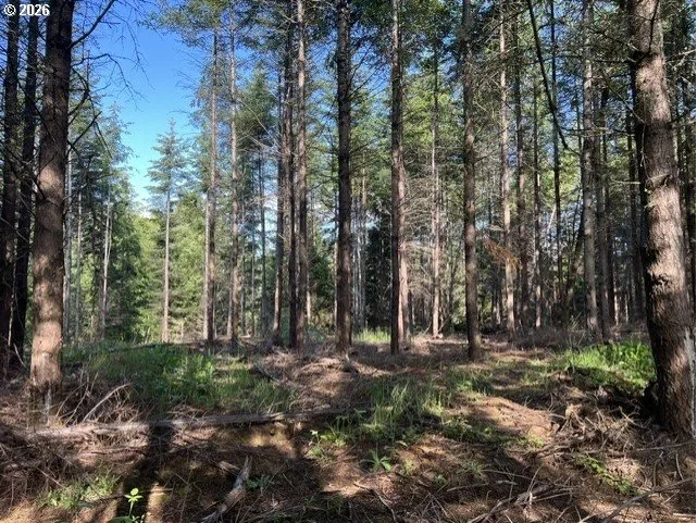 NW Lodge Rd, Banks, OR 97106 — photograph 13