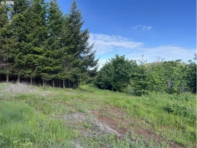 NW Lodge Rd, Banks, OR 97106 — photograph 11