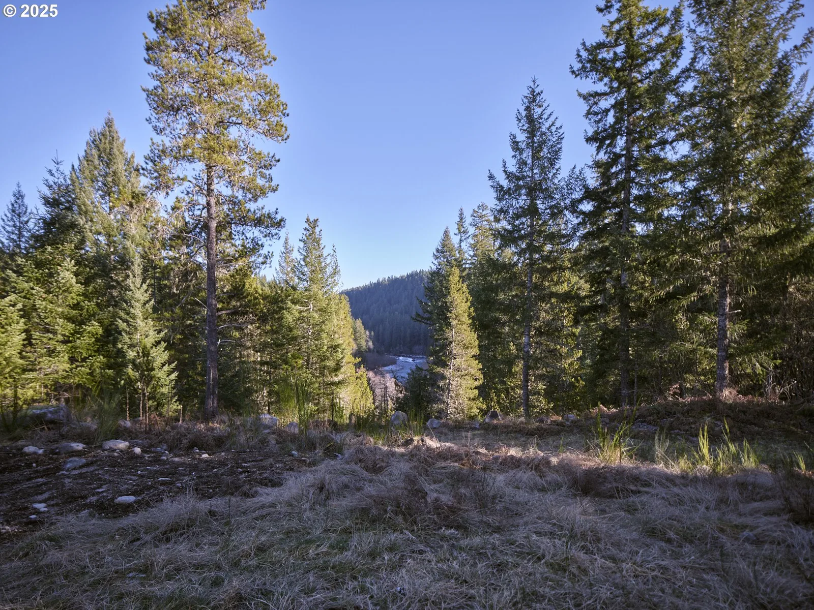 192 Sasquatch Way, Cougar, Wa 98616 — photograph 41