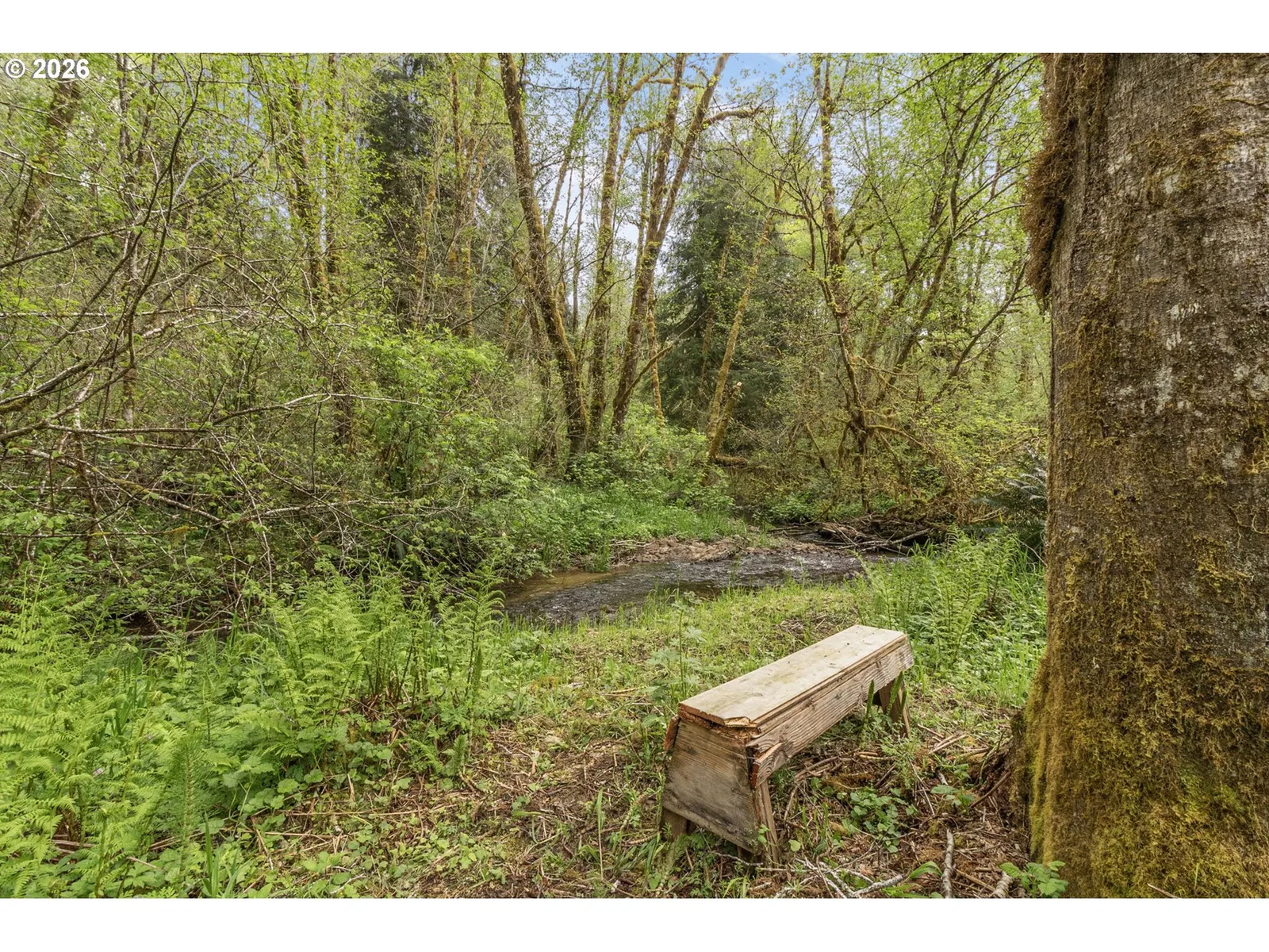 93537 Deadwood Creek Rd, Deadwood, OR 97430 — photograph 41