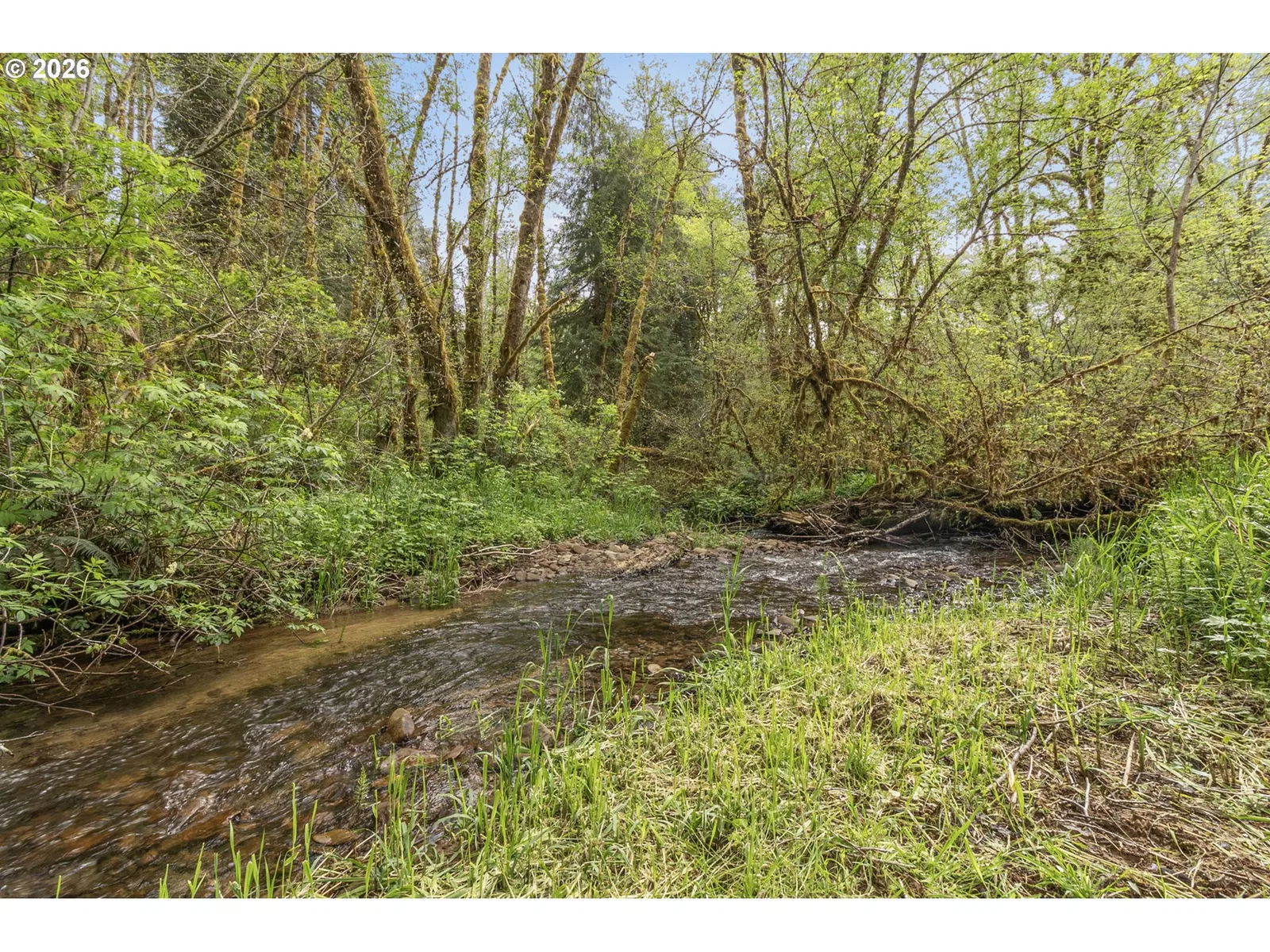 93537 Deadwood Creek Rd, Deadwood, OR 97430 — photograph 44
