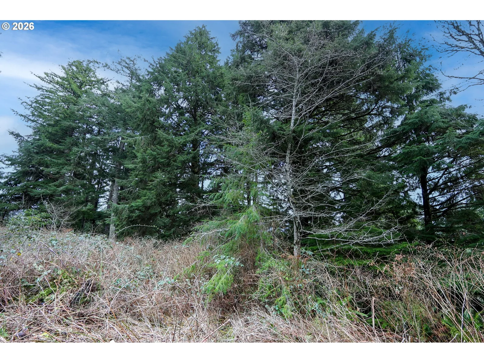 62885 Isthmus Heights Rd, Coos Bay, OR 97420 — photograph 11
